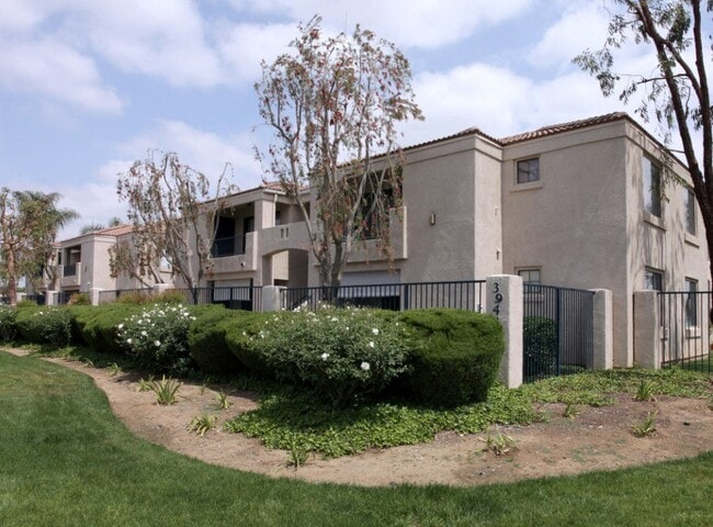 Building Photo - Brandon Place Senior