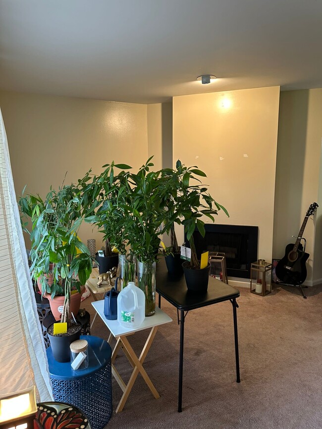 Building Photo - 34790 W 8 Mile Rd