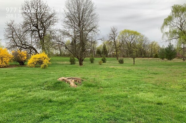 Back Yard - 977 Laudermilch Rd