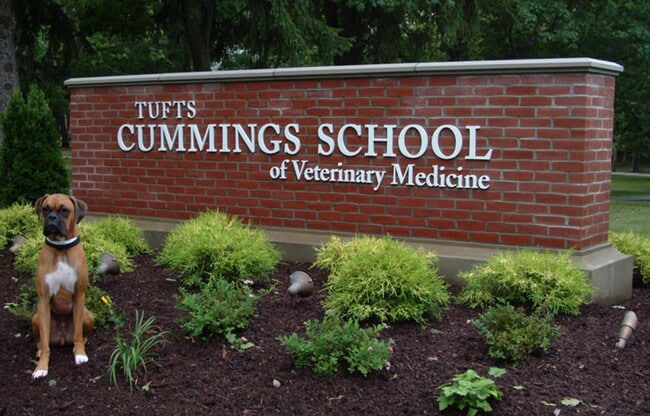 Building Photo - ***Please Respond Directly to the Online Listing, Calls May Not Be Returned***