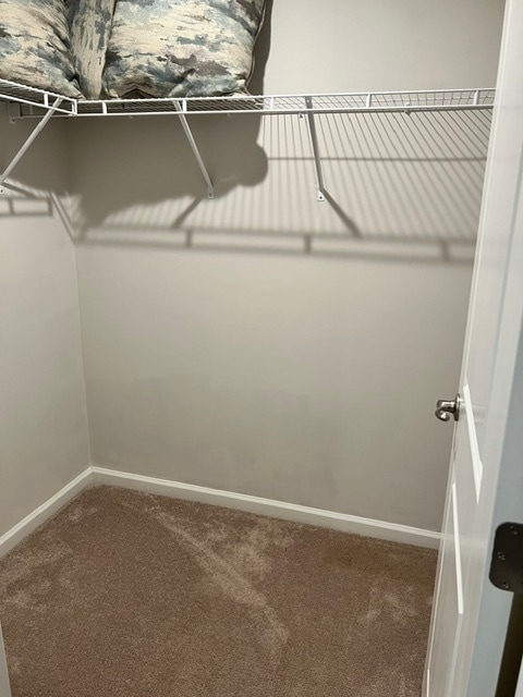 First floor closet - 382 Cotton Brook Dr