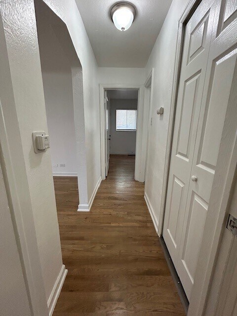 Building Photo - Available now! Spacious living room. Newly...