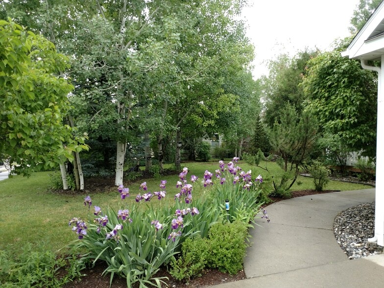 Front yard. - 310 N Sweetgrass Ave