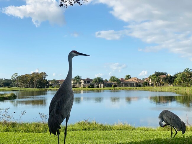 Building Photo - Lake Nona townhome for Rent