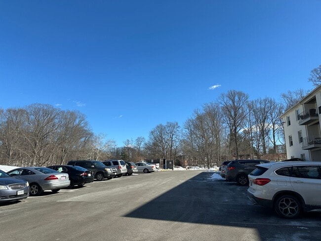 Building Photo - Move-In Ready 2BR/1BA Condo in Cardinal Forest