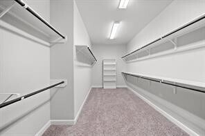 Building Photo - 5026 Lacebark Pne Trl
