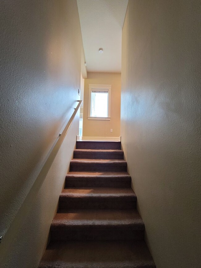 Building Photo - Contemporary Condo in Johns Landing