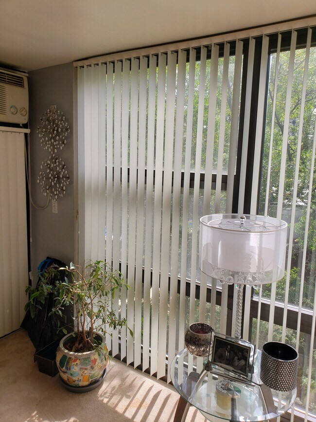 living room windows - 2605 S Indiana Ave
