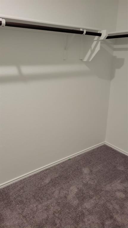 Building Photo - 541 Pickrell Lp