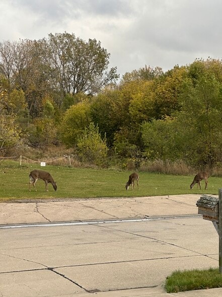 Building Photo - 32105 Knapp Ave
