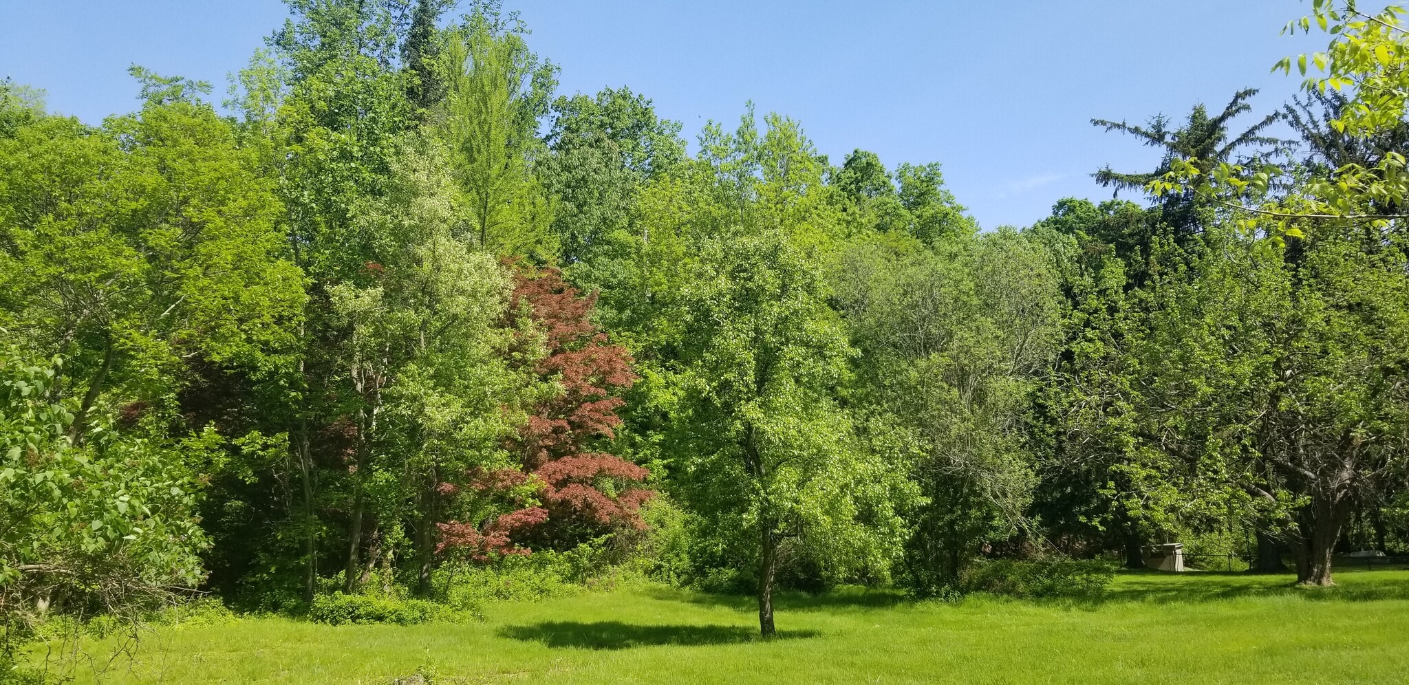 Exterior - Backyard view - angle B - 275 croton dam road