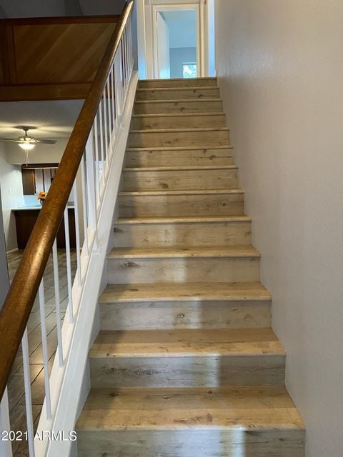 Stairs - 14002 N 49th Ave