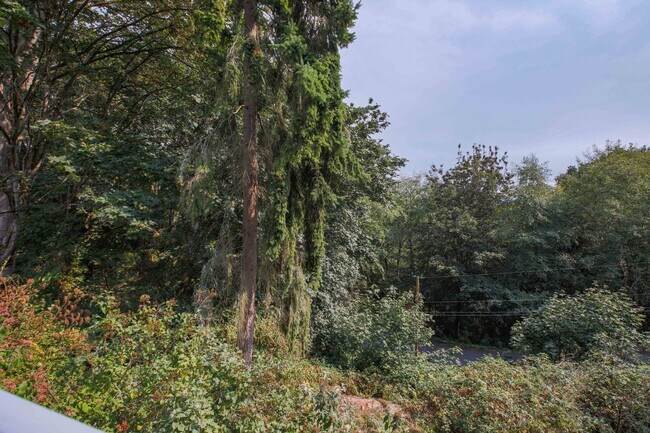 Building Photo - Dream Home in a Park Like Setting!!