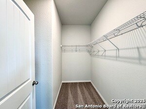Building Photo - 2557 Windle Ln