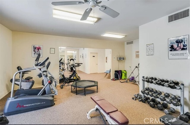 Building Photo - 1421 N Sunrise Way