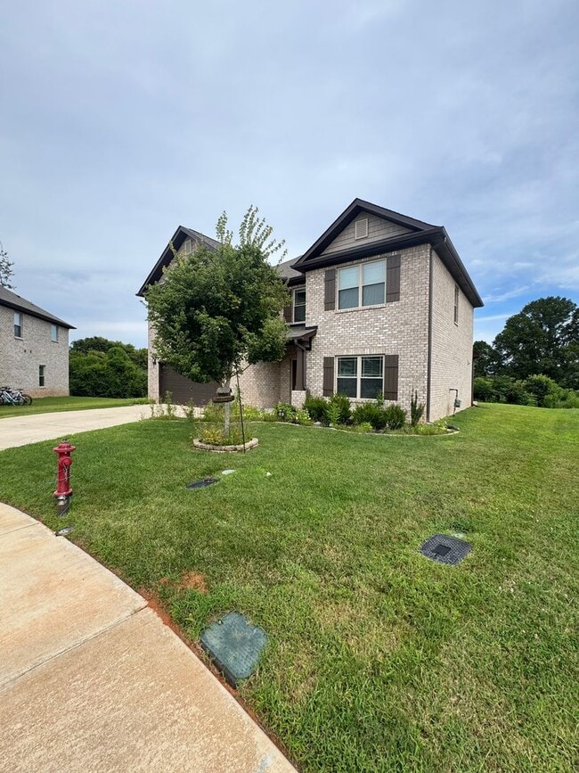 Building Photo - 203 Rye Cir