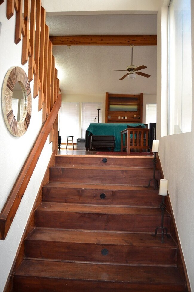 Building Photo - Large 3/2 in Great Hills w/ Treetop Views