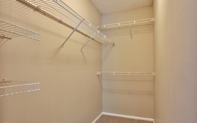 Building Photo - 637 Caledon Ct