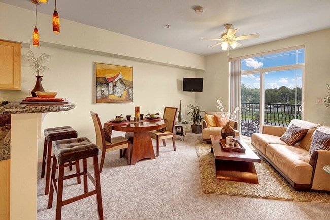 Park Plaza II Apartments - Living Room - Park Plaza II