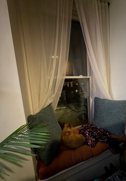 Building Photo - 1533 Floyd Ave