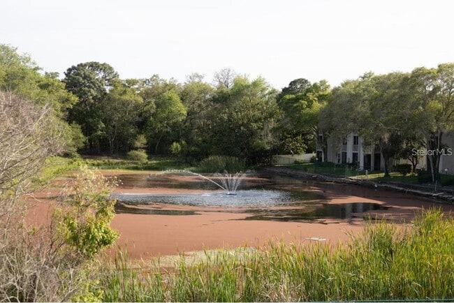 Building Photo - 2625 FL-590