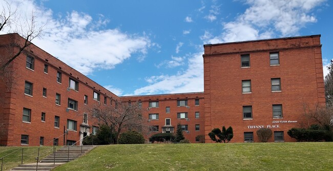 Primary Photo - Large sun-lit 1 bedroom in heart of Shadyside