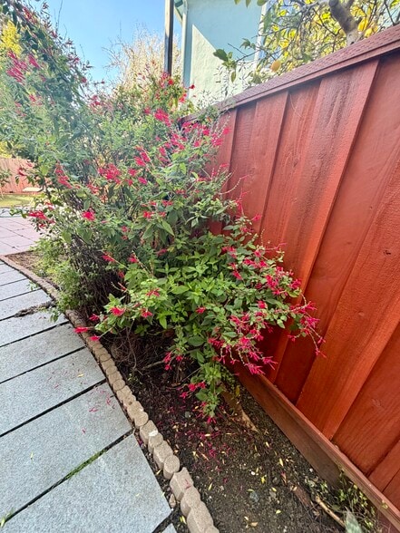 Building Photo - 5419 Silva Ave