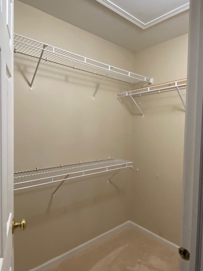 Building Photo - 364 Grape Vine Trail