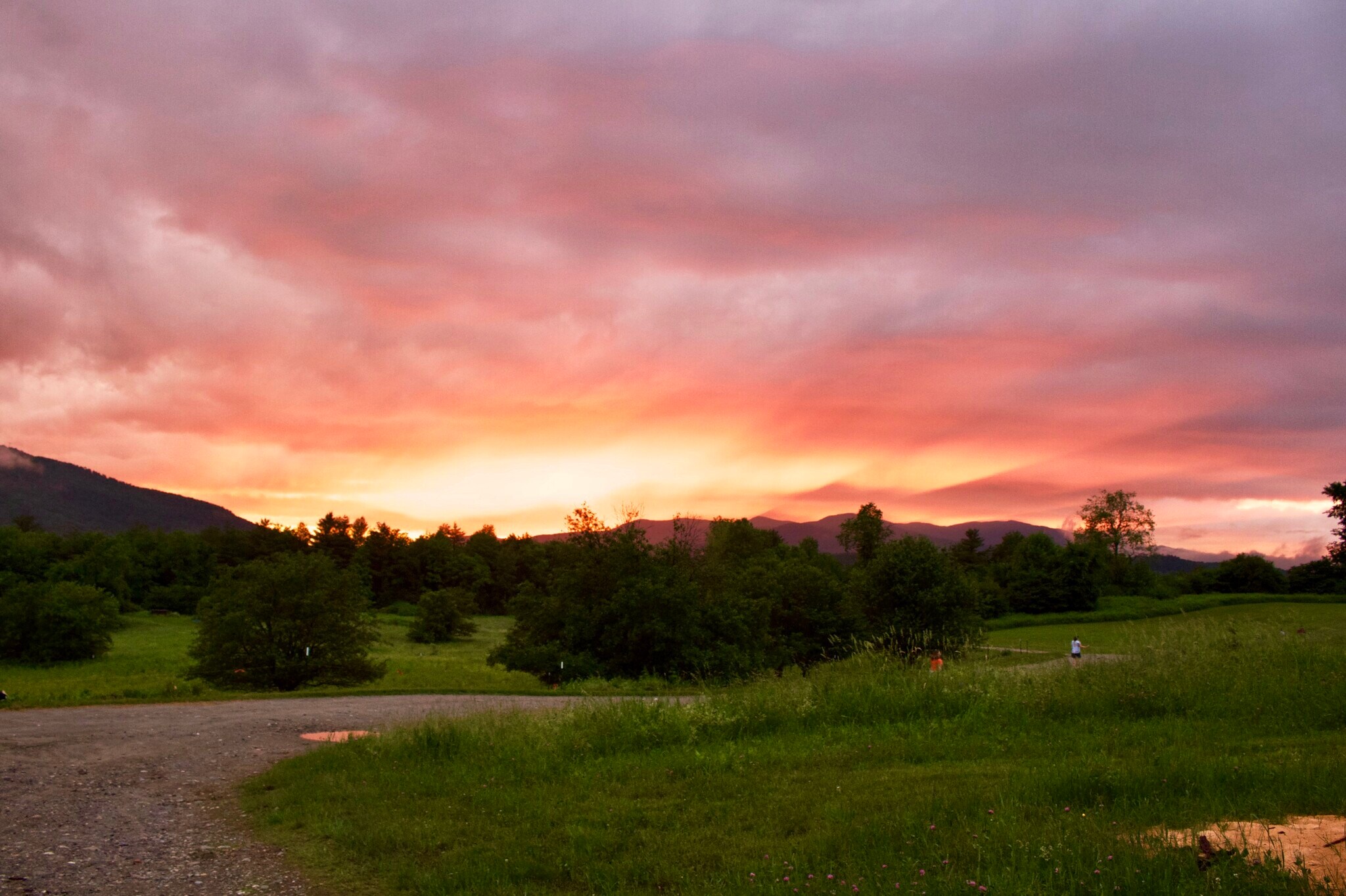 Building Photo - 475 Black Bear Holw