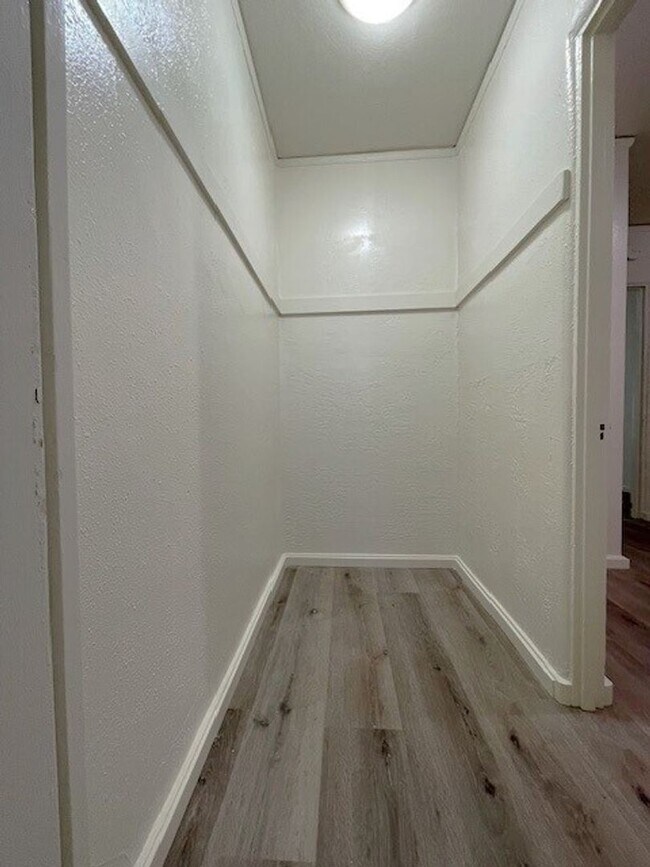 Building Photo - Charming, Studio Freshly Painted, move in ready