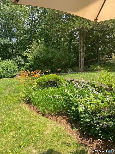 Back yard - 85 Wilton Cres