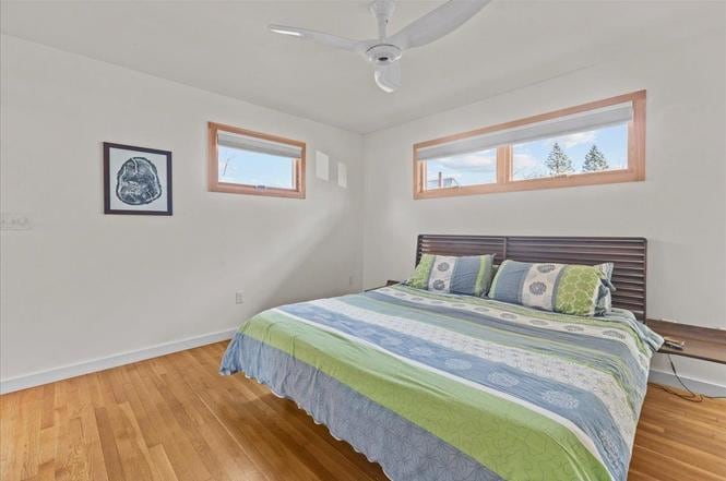 Building Photo - 44 Ferguson Ave