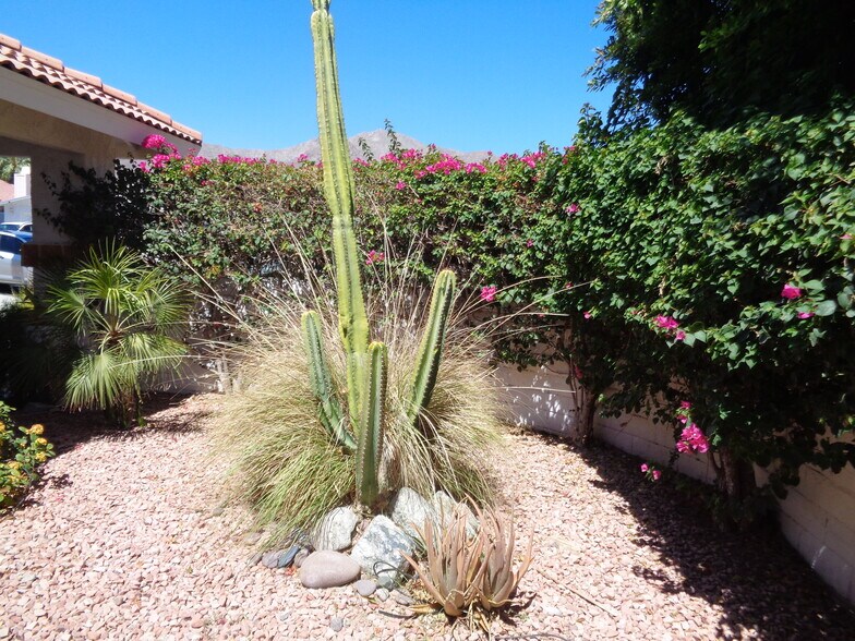 Building Photo - 54140 Avenida Mendoza
