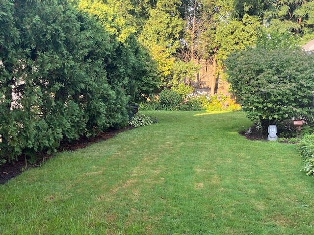 Building Photo - 40 Ardmore Rd