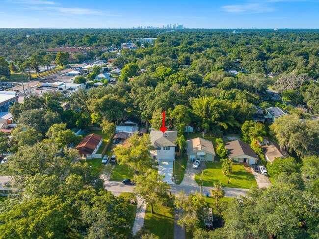 Building Photo - Charming Tampa Rental - Perfectly Located ...