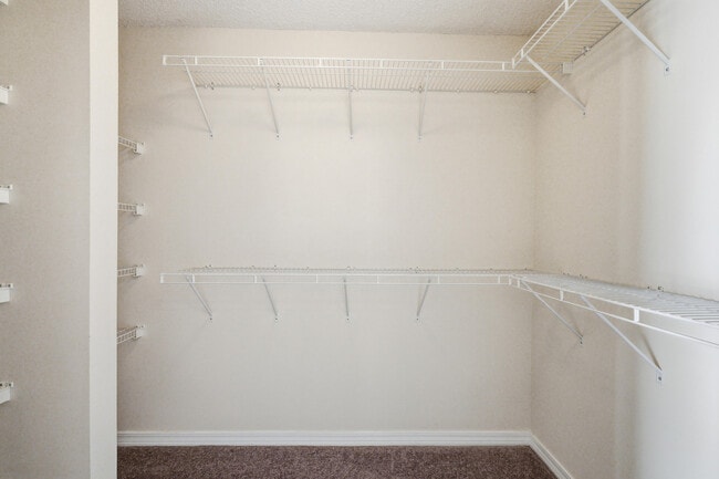 Building Photo - 4227 Shadow Ln