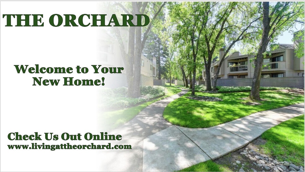 Primary Photo - The Orchard Apartments