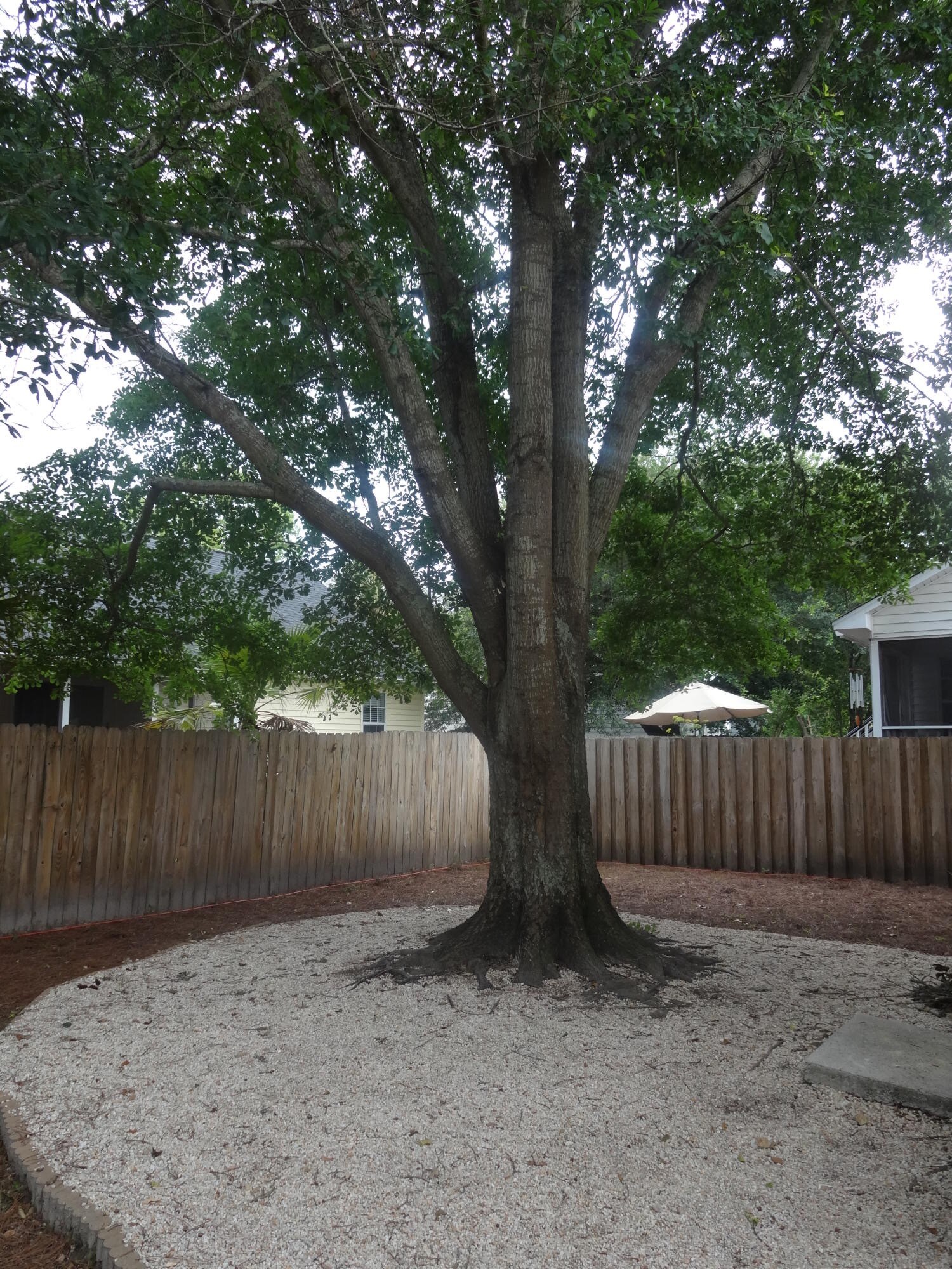 Building Photo - 388 Culver Ave