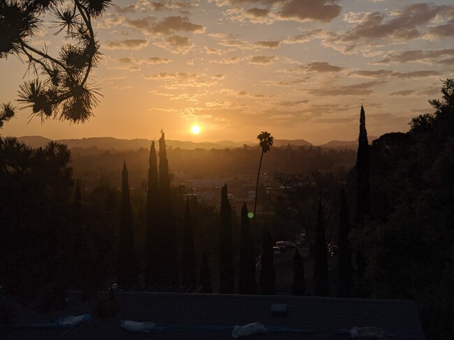 View from rear balcony at sunrise - 1 Frisbie St