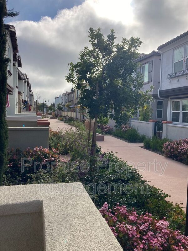 Building Photo - 4140 Sitio Cielo