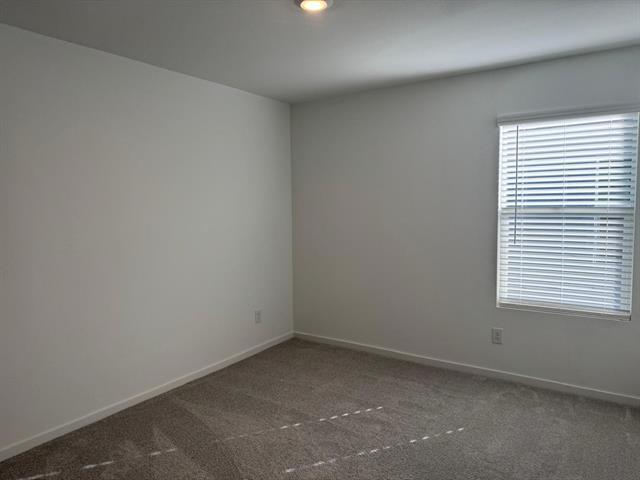 Building Photo - 3116 Burmese St