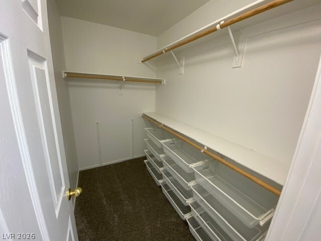 Building Photo - 8065 Caspian Moon Dr