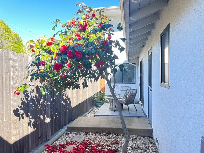 Building Photo - Charming Home by Bishops Peak Trailhead -AVAILABLE April