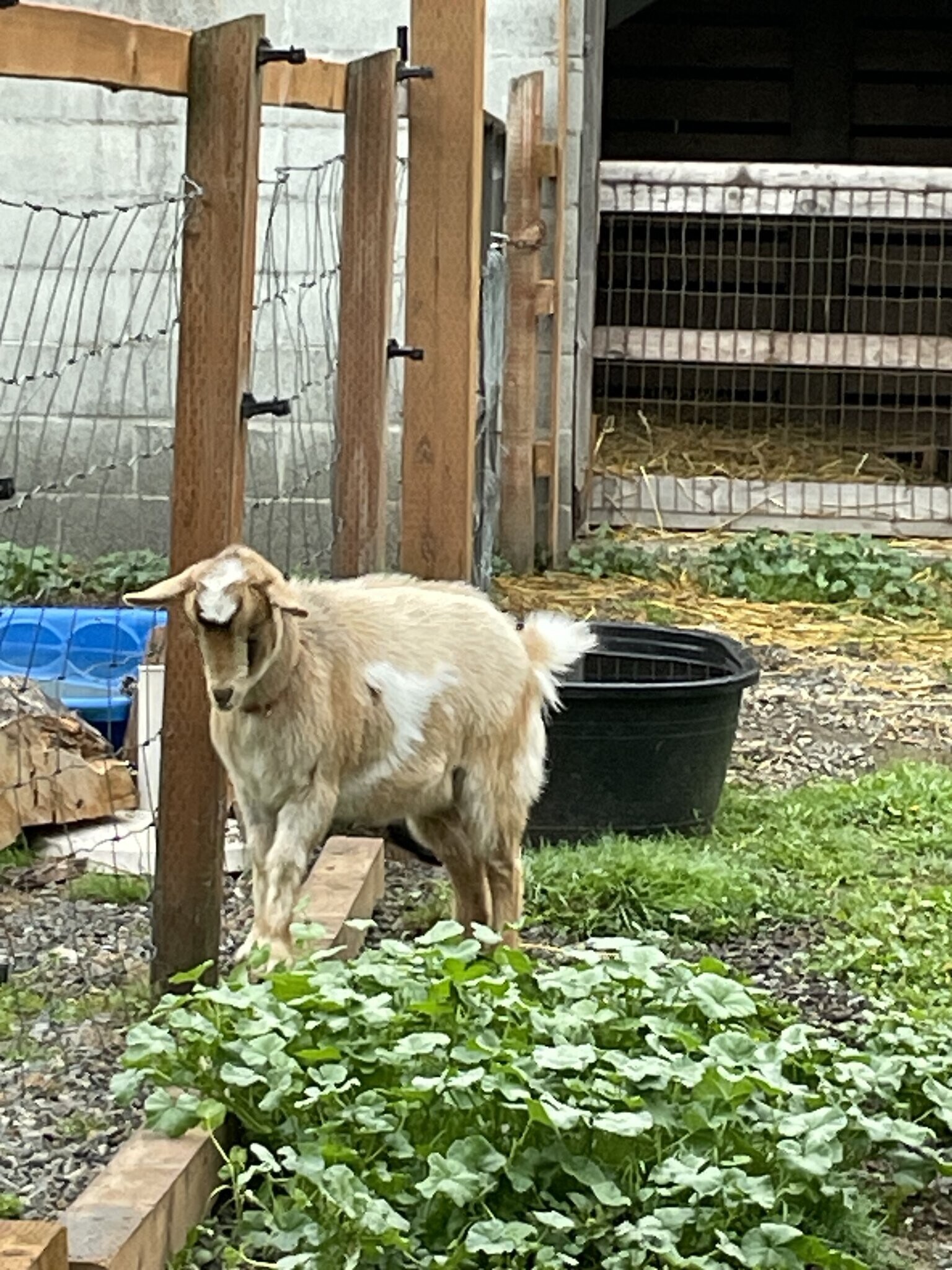 Building Photo - 9600 116th St NE