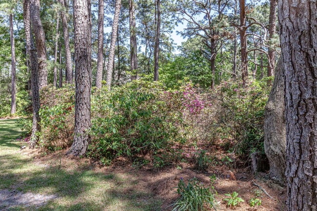 Building Photo - Stunning & Spacious Home in Walnut Hill! 4 Bedrooms | 4 Bathrooms w/ Lawn Care and Trash Service ...