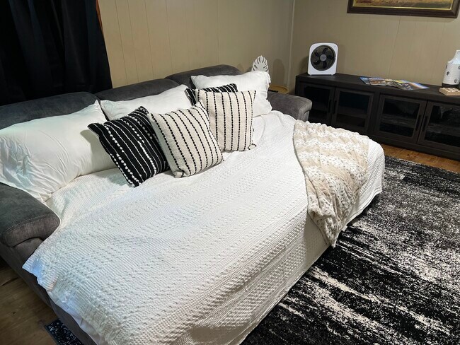 Pull out sofa bed - 54 Woodlawn Ave