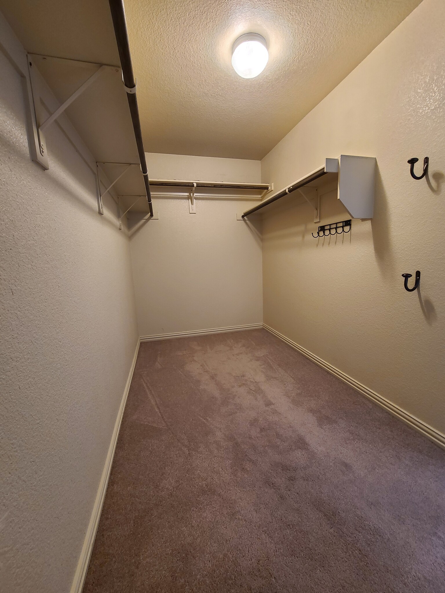 Building Photo - 3080 Peyton Brook Dr