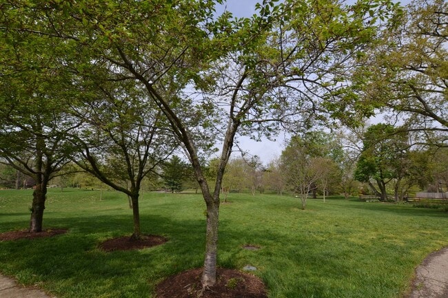 Building Photo - Newly Renovated 4 Bedroom Near Franklin Park- First month rent free