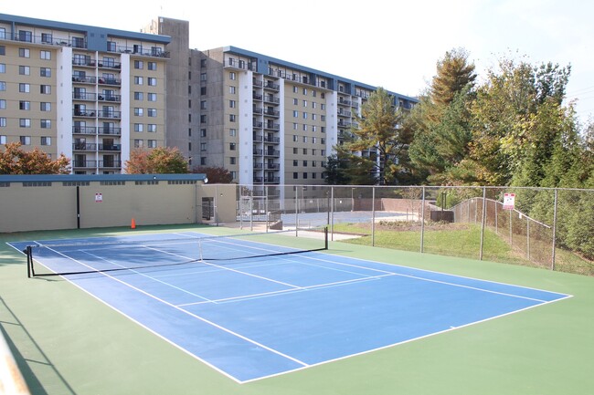 Tennis Court - 3800 Powell Ln