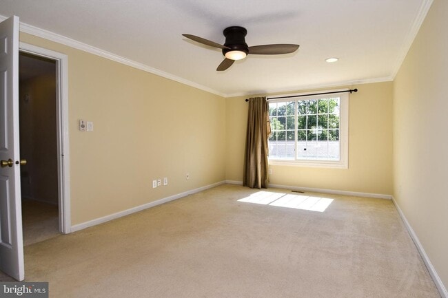 Building Photo - 4037 Broadwire Dr